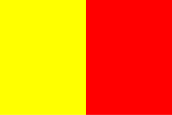 Flag of Orléans, France